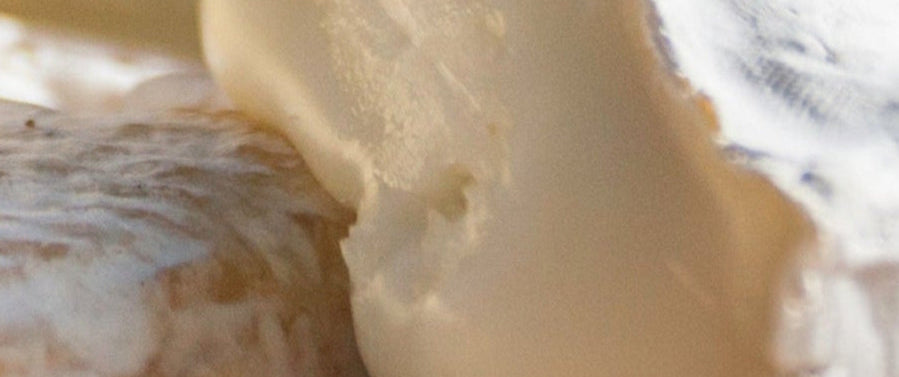 Mystery Cheese