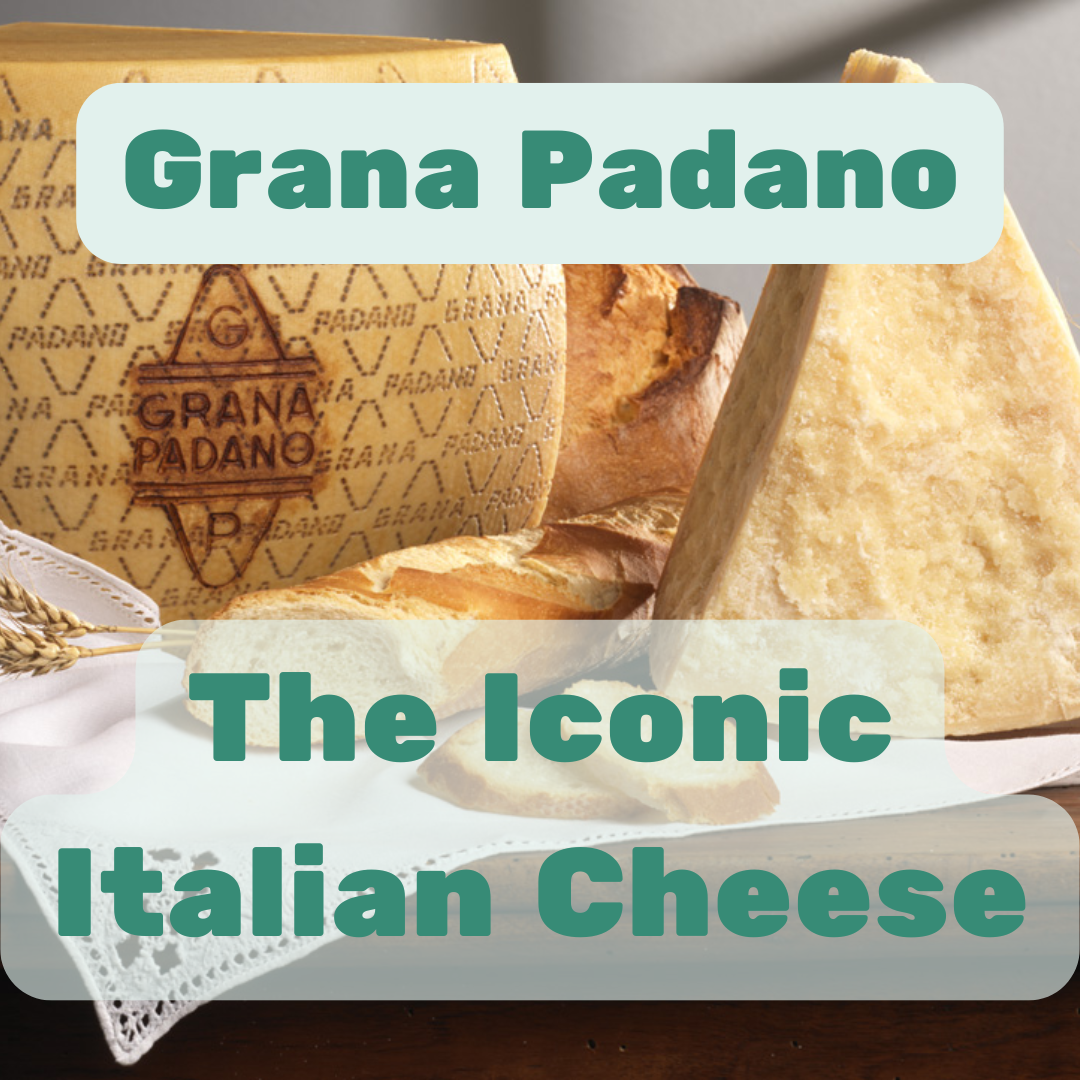 Grana Padano: The Iconic Hard Italian Cheese You Need to Try