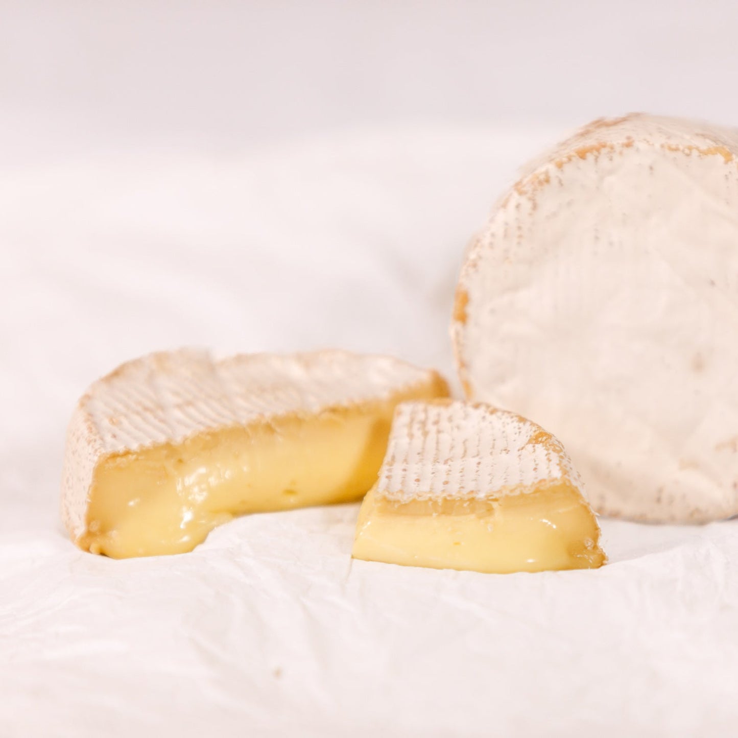 Beechmont by Gold Coast Cheese Co.