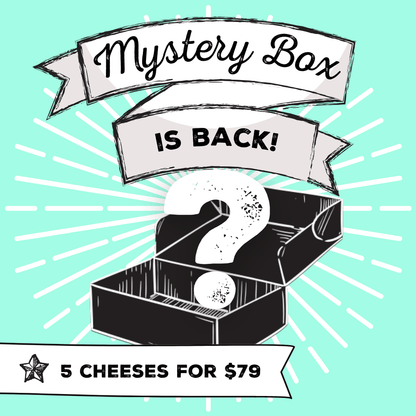 Mystery Box - 5 Cheeses STRICTLY LIMITED - Cheese Therapy