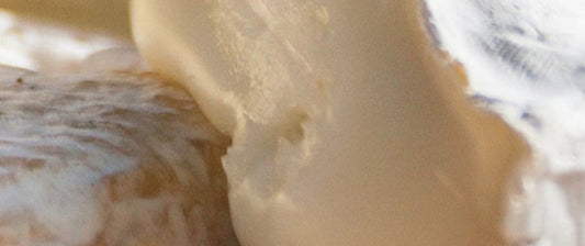 Mystery Cheese